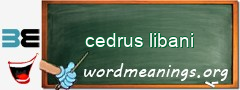 WordMeaning blackboard for cedrus libani